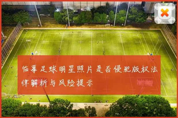 临摹足球明星照片是否侵犯版权法律解析与风险提示