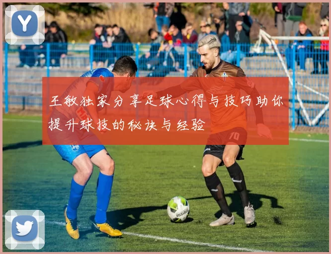 王敏独家分享足球心得与技巧助你提升球技的秘诀与经验