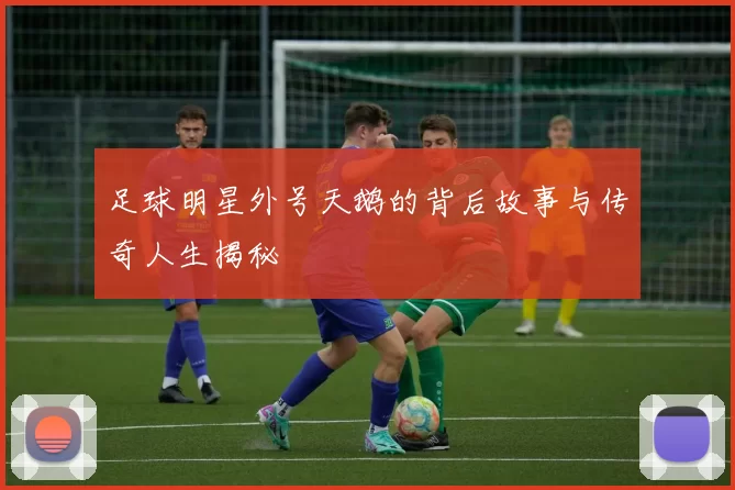 足球明星外号天鹅的背后故事与传奇人生揭秘