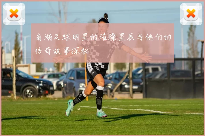 南湖足球明星的璀璨星辰与他们的传奇故事探秘