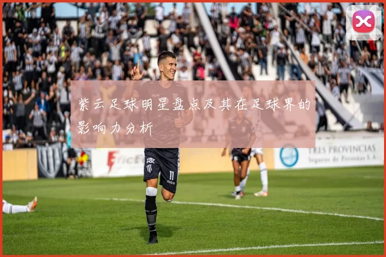 紫云足球明星盘点及其在足球界的影响力分析