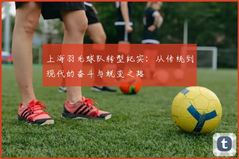 上海羽毛球队转型纪实：从传统到现代的奋斗与蜕变之路