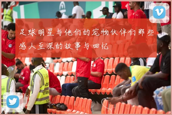 足球明星与他们的宠物伙伴们那些感人至深的故事与回忆