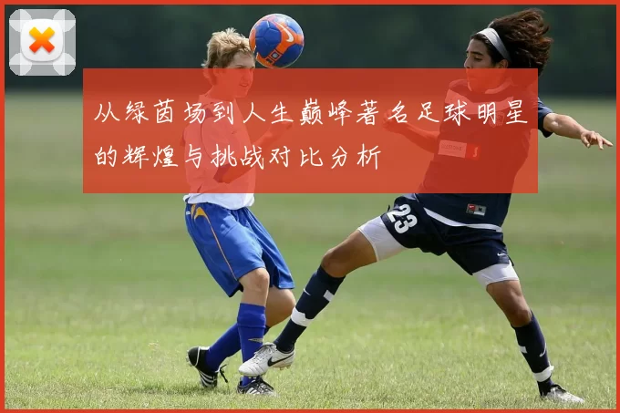 从绿茵场到人生巅峰著名足球明星的辉煌与挑战对比分析