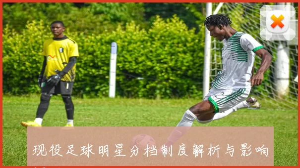 现役足球明星分档制度解析与影响探讨