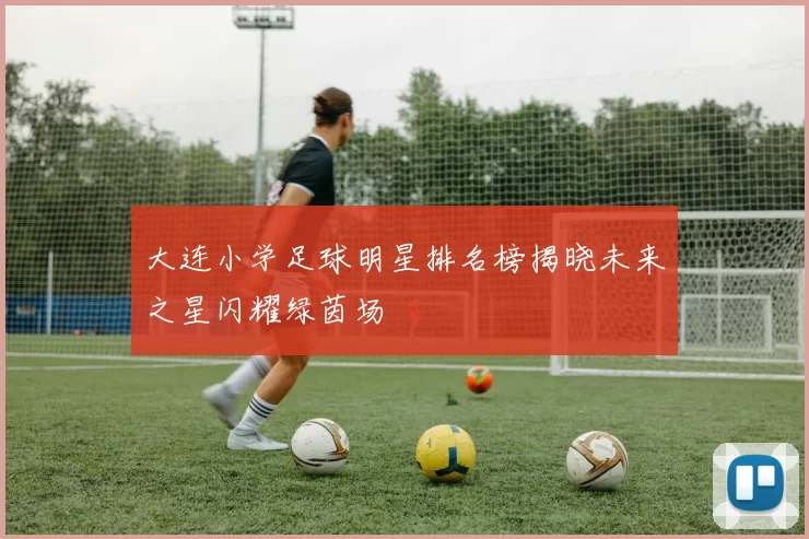 大连小学足球明星排名榜揭晓未来之星闪耀绿茵场