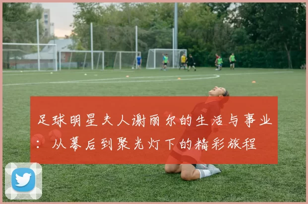 足球明星夫人谢丽尔的生活与事业：从幕后到聚光灯下的精彩旅程