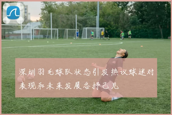 深圳羽毛球队状态引发热议球迷对表现和未来发展各抒己见