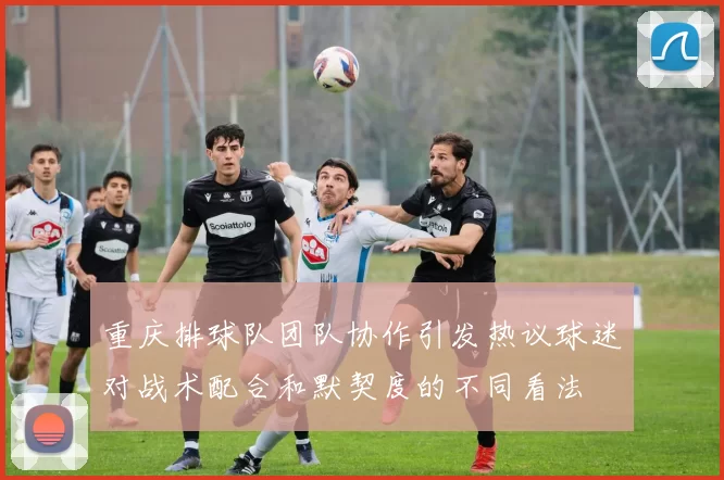 重庆排球队团队协作引发热议球迷对战术配合和默契度的不同看法