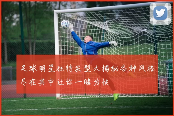 足球明星独特发型大揭秘各种风格尽在其中让你一睹为快