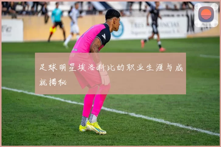 足球明星埃洛科比的职业生涯与成就揭秘