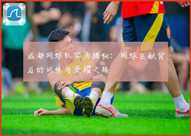 成都网球队实力揭秘：网球巨献背后的训练与荣耀之路