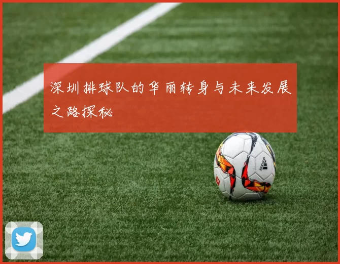 深圳排球队的华丽转身与未来发展之路探秘