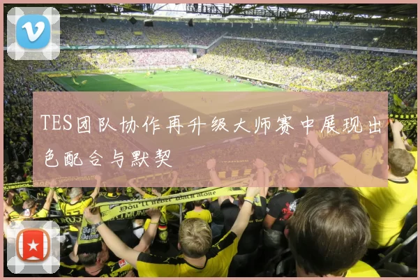 TES团队协作再升级大师赛中展现出色配合与默契
