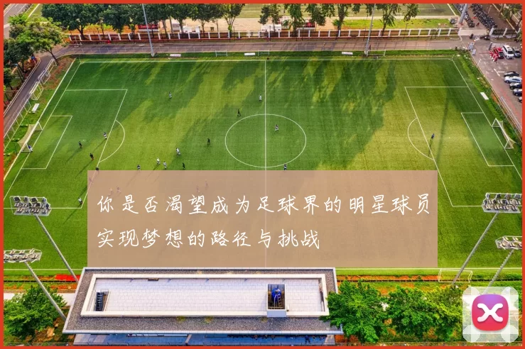 你是否渴望成为足球界的明星球员实现梦想的路径与挑战