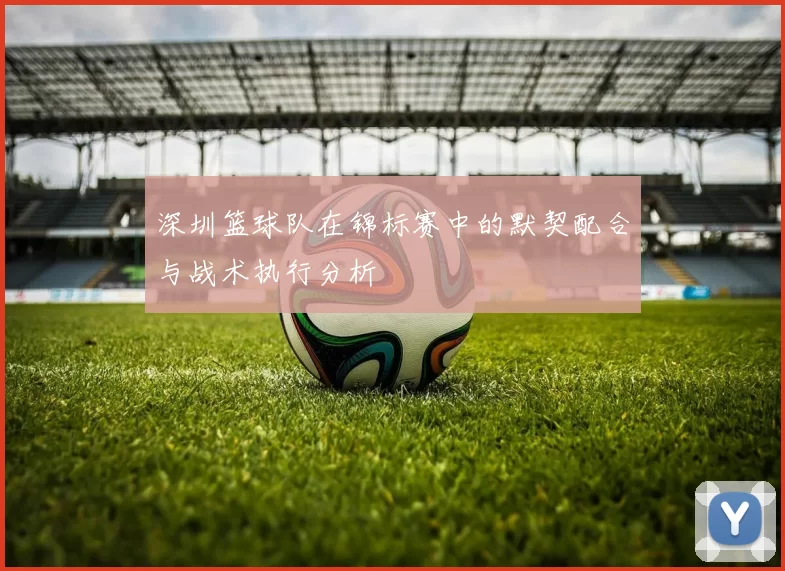 深圳篮球队在锦标赛中的默契配合与战术执行分析