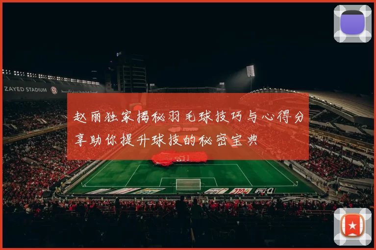 赵丽独家揭秘羽毛球技巧与心得分享助你提升球技的秘密宝典