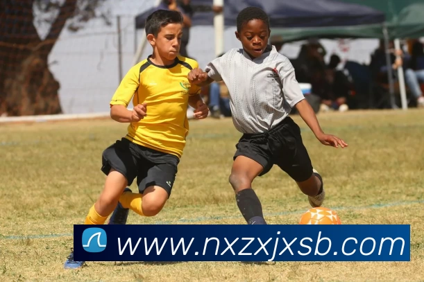 APP界面展示